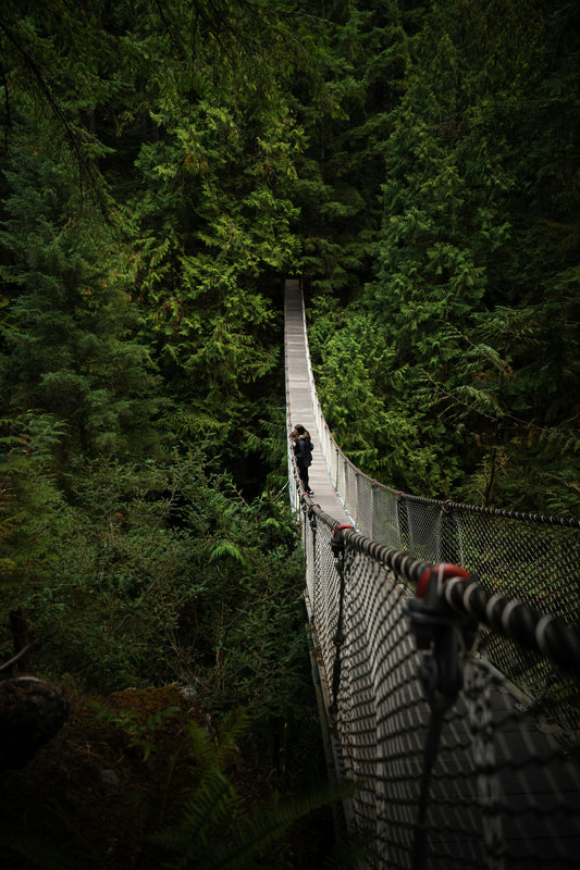 Lynn Canyon Suspension Bridge: Vancouver's Natural Thrill