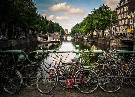 Make Hay While the Sun Shines in Amsterdam